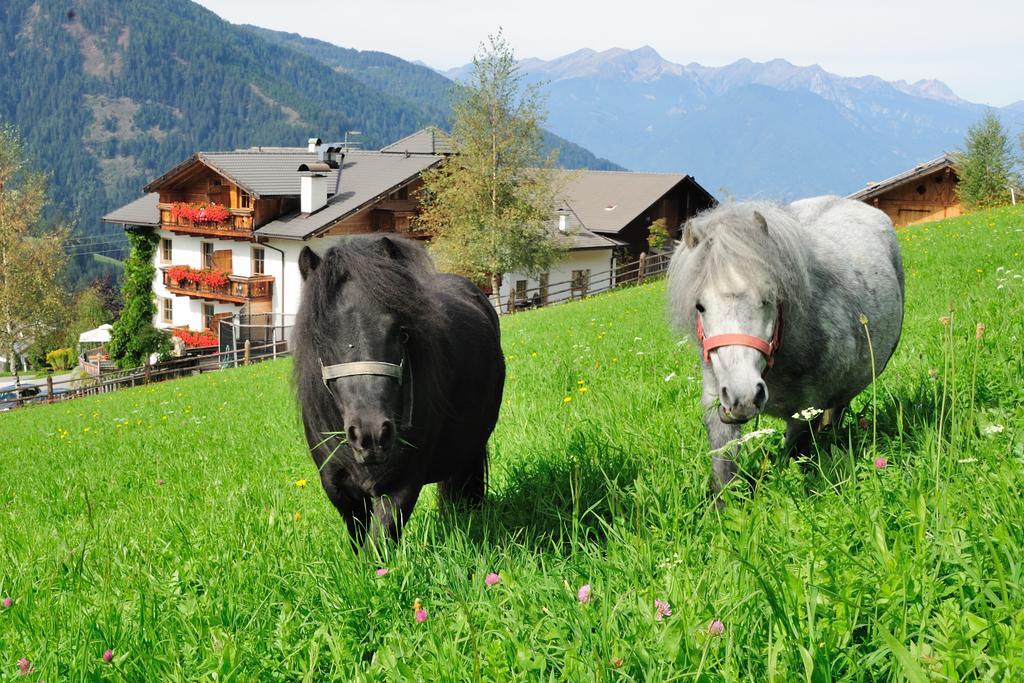 Hotel Kompatscherhof ลูซอน ภายนอก รูปภาพ